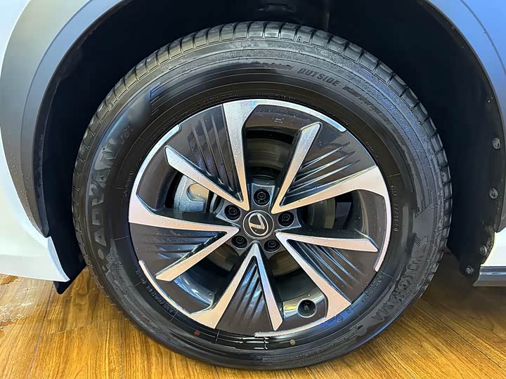 Фото 10 - Lexus RZ