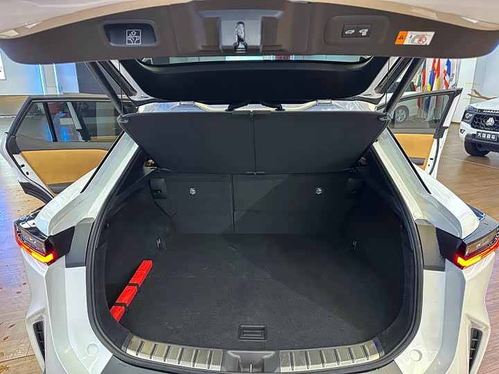 Фото 24 - Lexus RZ