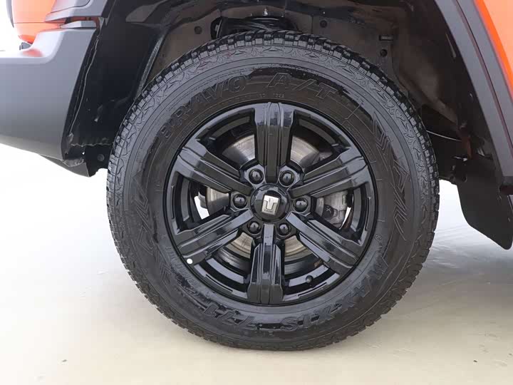 Фото 13 - Tank 300