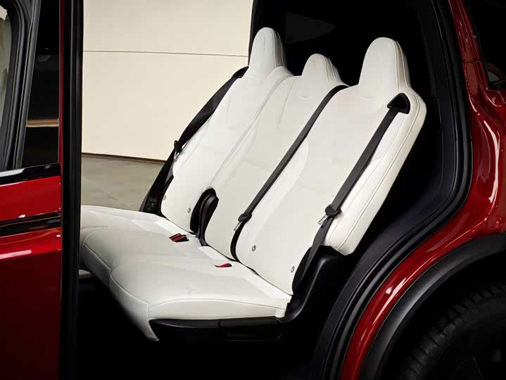 Фото 10 - Tesla Model X