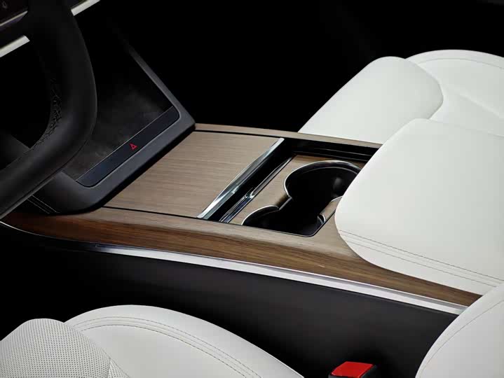 Фото 13 - Tesla Model X