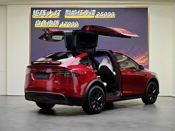 Фото 20 - Tesla Model X