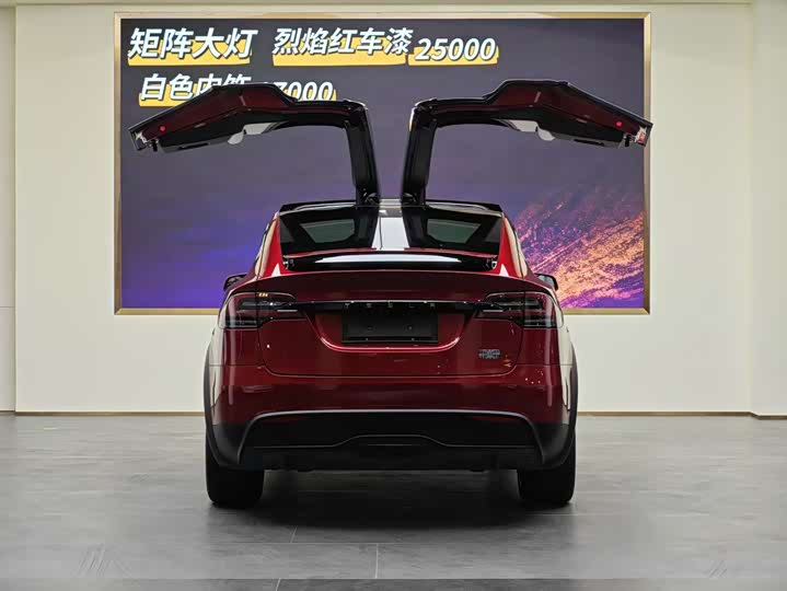 Фото 21 - Tesla Model X