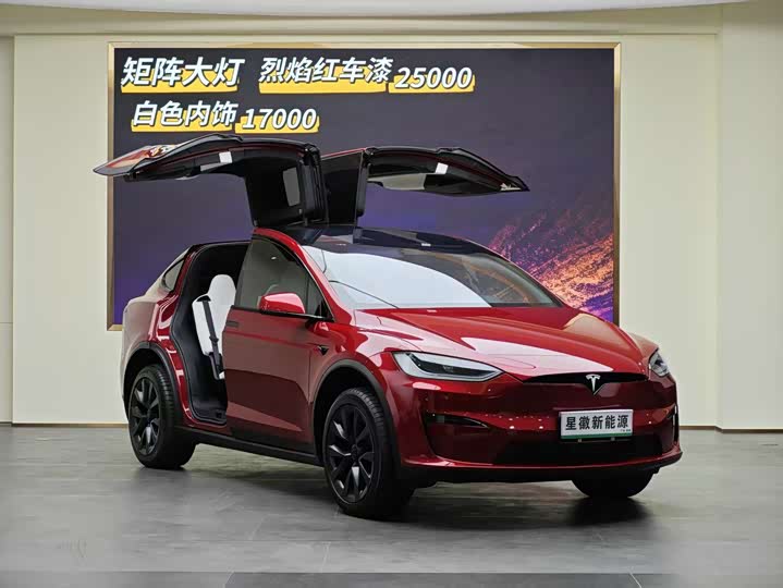 Фото 3 - Tesla Model X