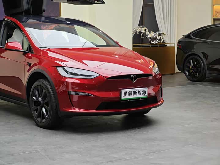 Фото 7 - Tesla Model X