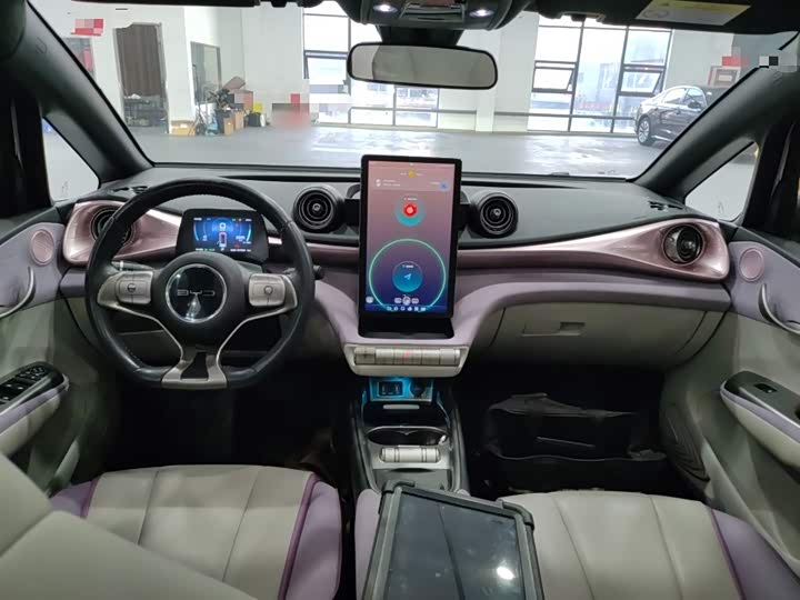 Фото 10 - BYD Dolphin