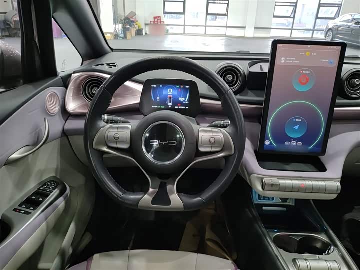 Фото 11 - BYD Dolphin