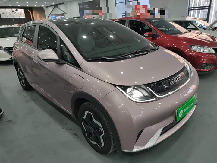 Фото 4 - BYD Dolphin