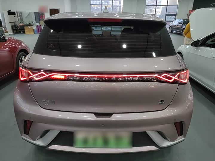 Фото 6 - BYD Dolphin