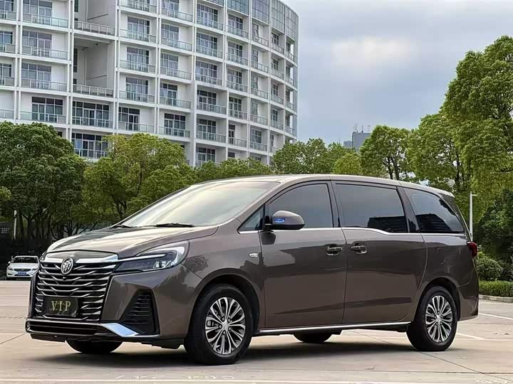 Фото 1 - Buick GL8 ES