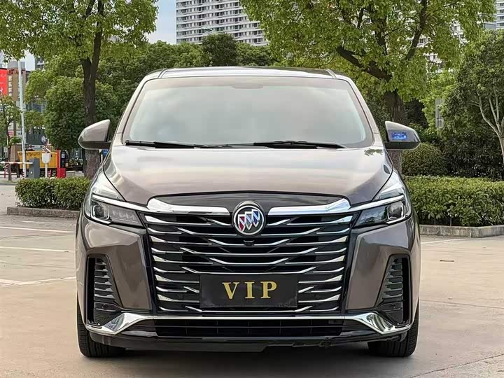 Фото 2 - Buick GL8 ES