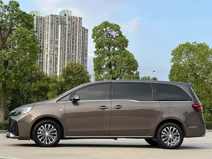 Фото 7 - Buick GL8 ES