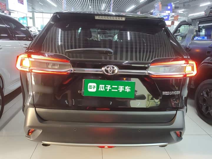 Фото 6 - Toyota Wildlander