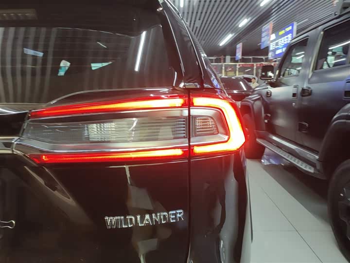 Фото 8 - Toyota Wildlander