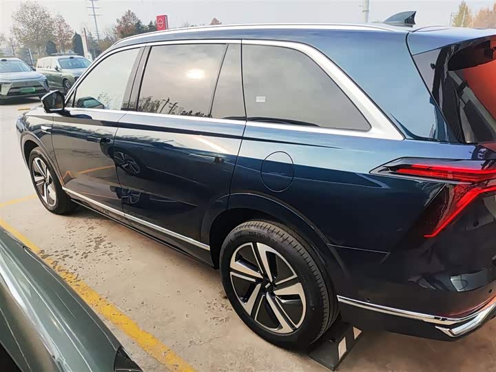 Фото 5 - Wey Lanshan