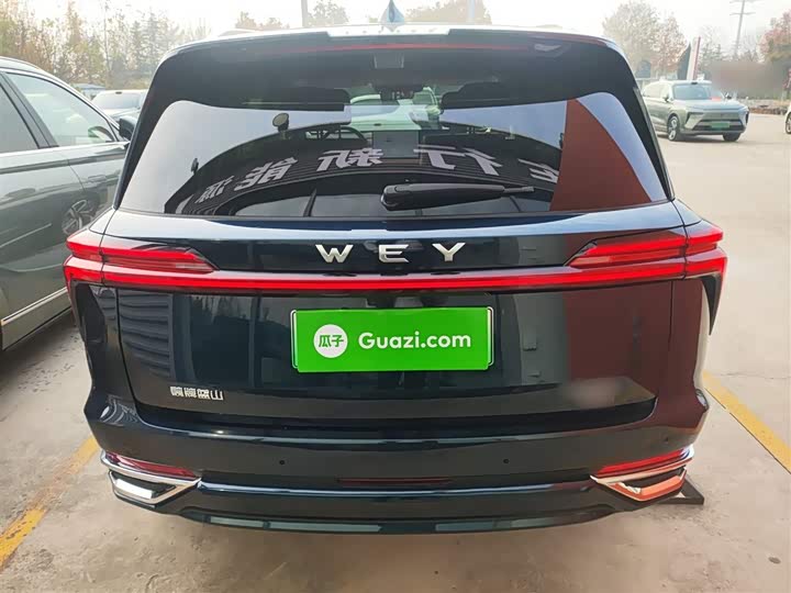 Фото 6 - Wey Lanshan