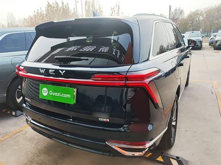 Фото 7 - Wey Lanshan