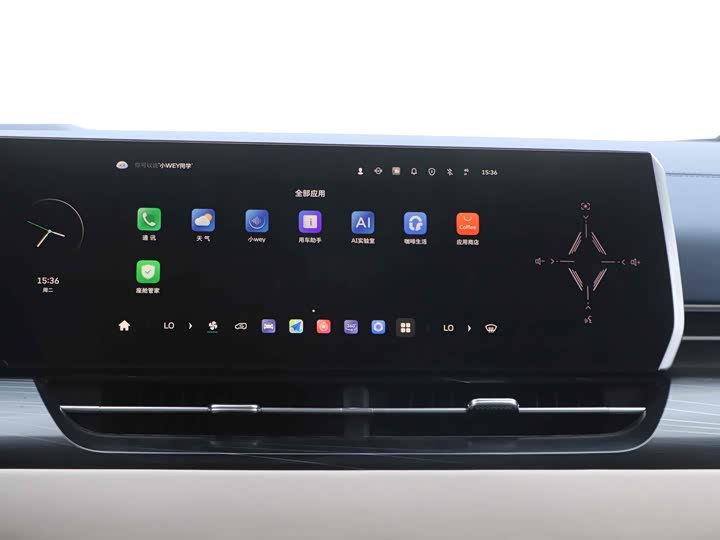 Фото 23 - Wey Gaoshan