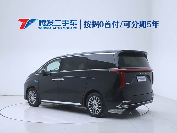 Фото 3 - Wey Gaoshan