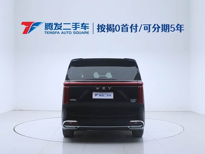 Фото 4 - Wey Gaoshan