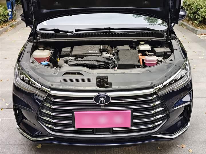 Фото 11 - BYD Song Max Hybrid