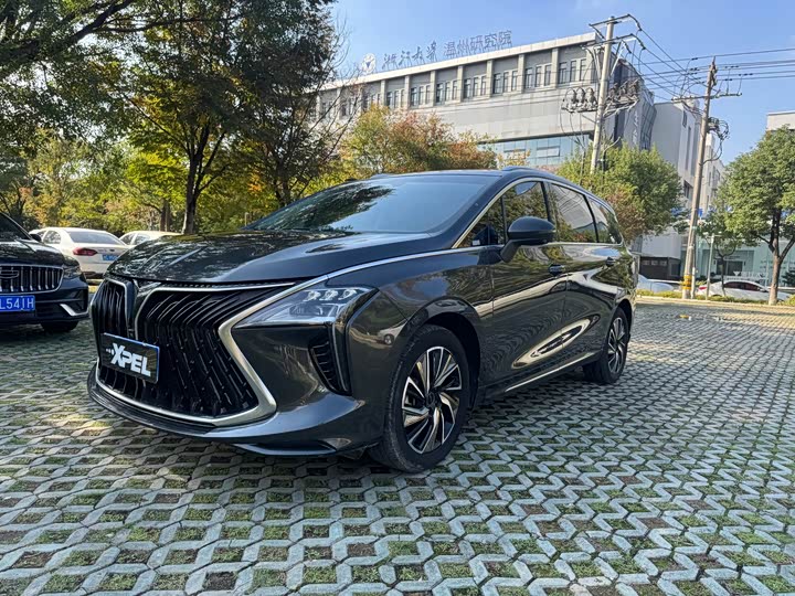 Фото 1 - Dongfeng Forthing Yacht