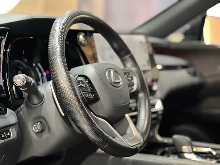 Фото 10 - Lexus RX
