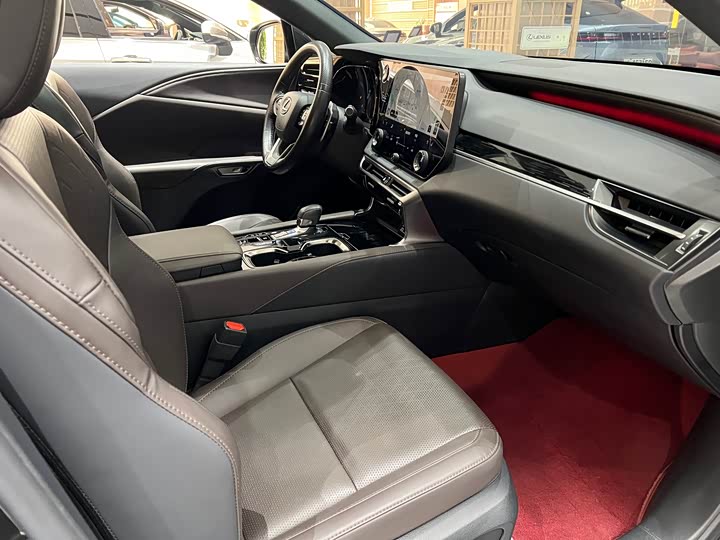 Фото 14 - Lexus RX