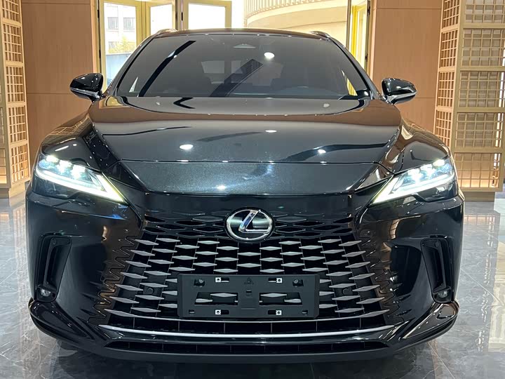 Фото 2 - Lexus RX