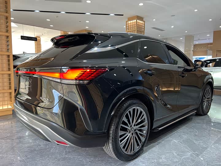 Фото 6 - Lexus RX