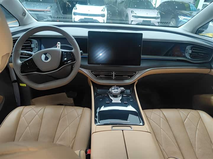 Фото 10 - Denza D9