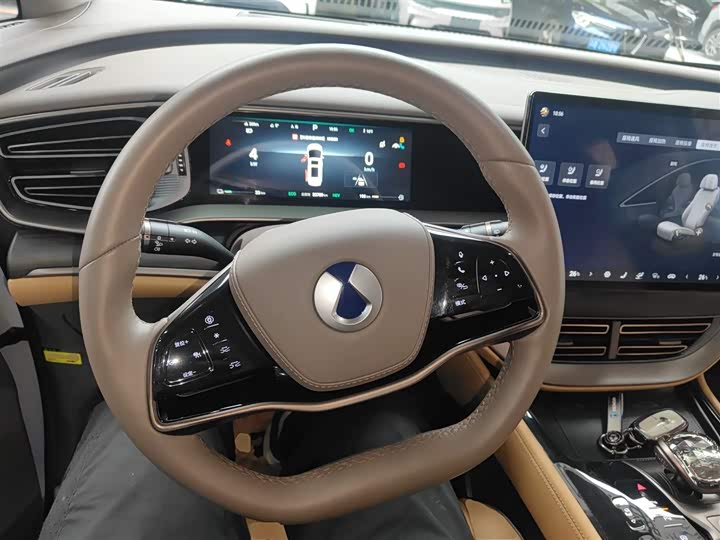 Фото 11 - Denza D9