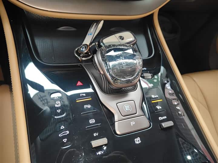 Фото 14 - Denza D9