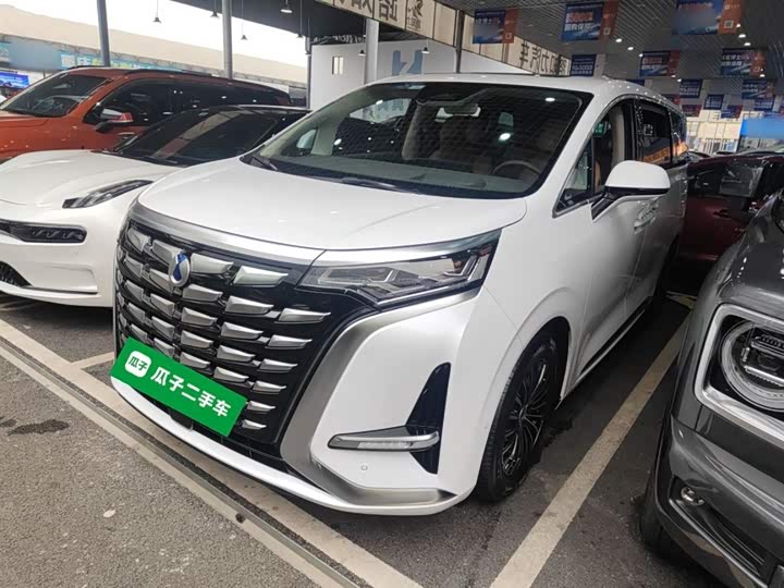 Фото 2 - Denza D9