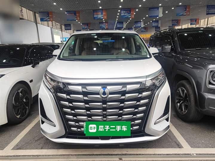 Фото 3 - Denza D9