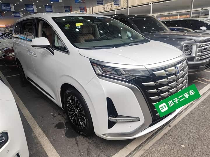 Фото 4 - Denza D9