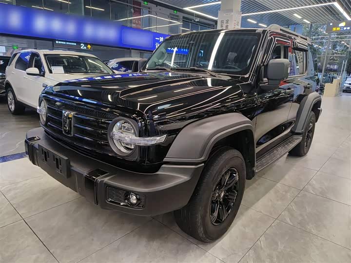 Фото 2 - Tank 300