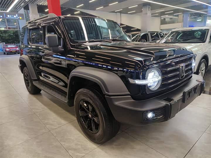 Фото 4 - Tank 300