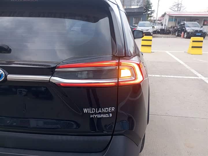 Фото 8 - Toyota Wildlander