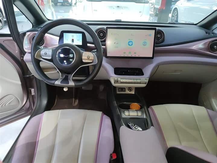 Фото 10 - BYD Dolphin