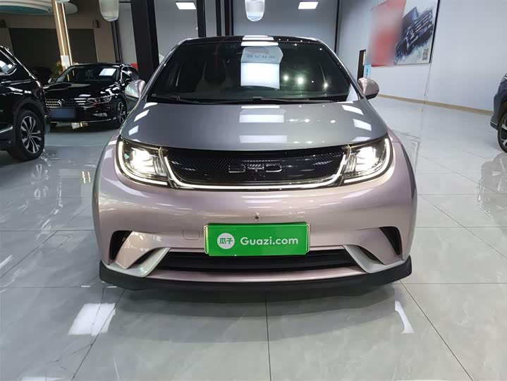 Фото 3 - BYD Dolphin