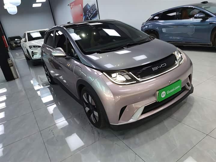 Фото 4 - BYD Dolphin