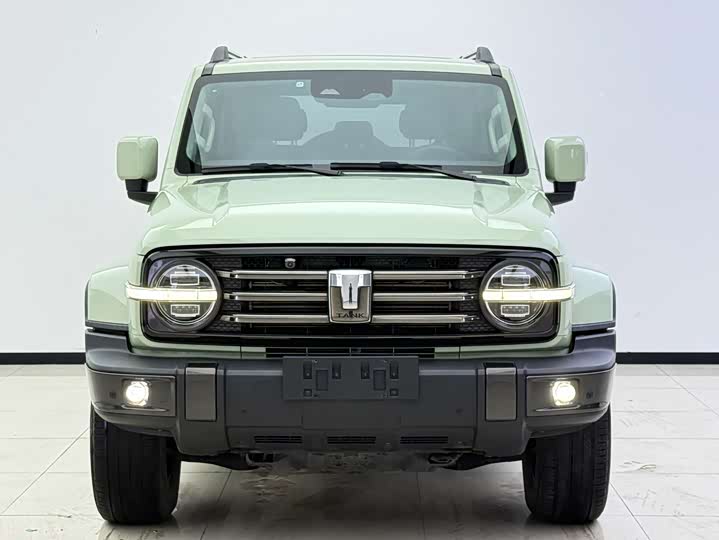 Фото 2 - Tank 300