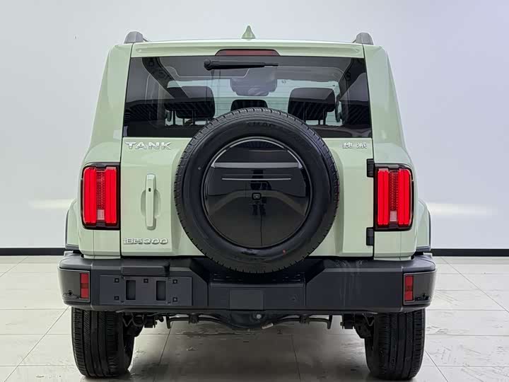 Фото 8 - Tank 300