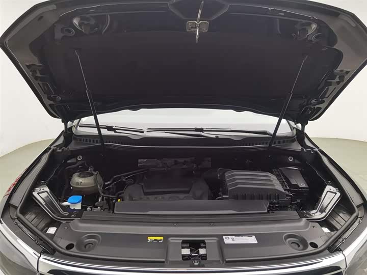 Фото 6 - Volkswagen Viloran