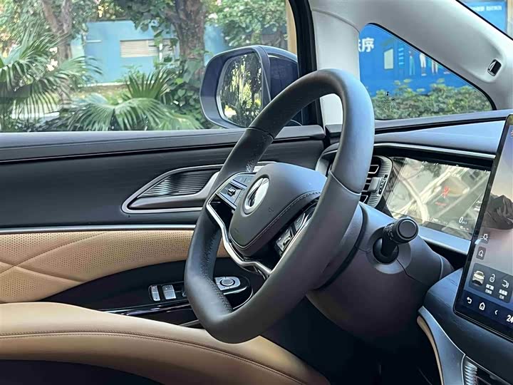 Фото 10 - Denza D9