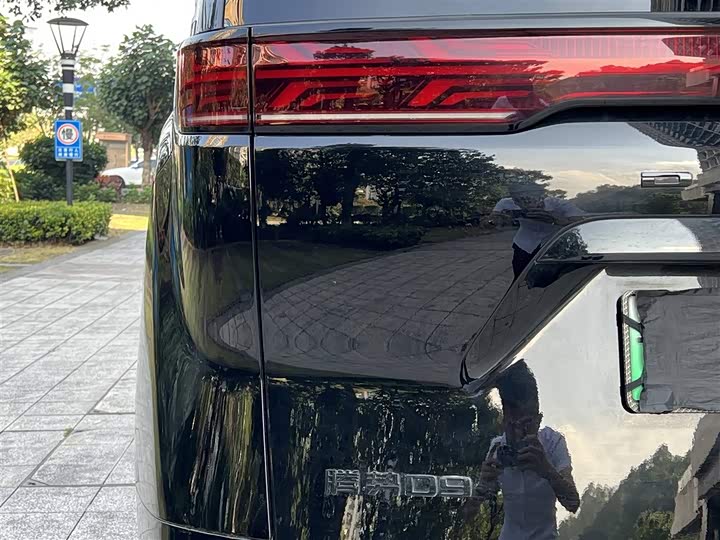 Фото 12 - Denza D9