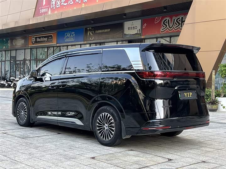 Фото 13 - Denza D9