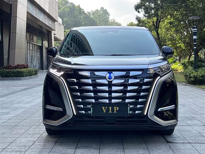 Фото 2 - Denza D9