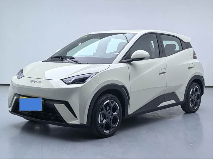 Фото 1 - BYD Seagull